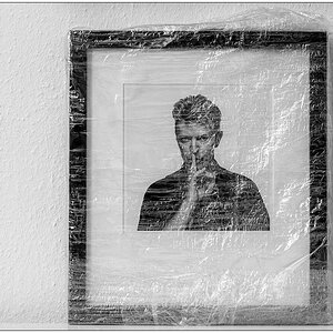 002 Gavin Evans - David Bowie eingepackt