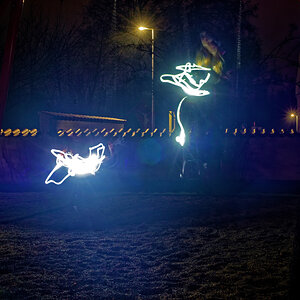 DSC_9081_DxO.jpg