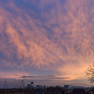 OF2_46198.jpg