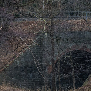 Waldbrücke (1 von 1).JPG