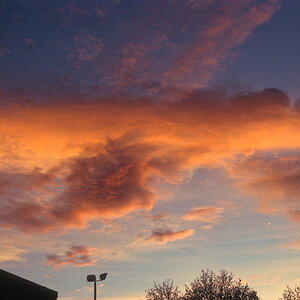 2020-12-20-0001 (9)_DxO.jpg