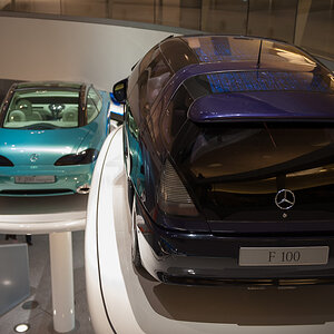 DSC_5534-1-2.JPG
