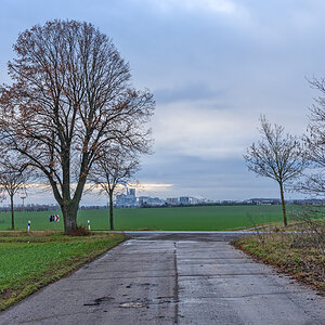 OF2_46559.jpg