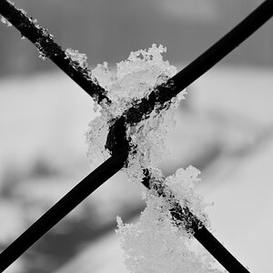 DSCN2979n.JPG