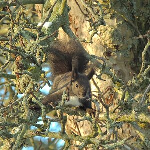 DSCN4783 (3)n.JPG