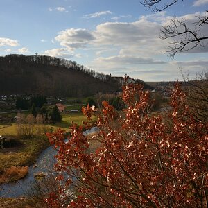 DSC_2296_00001n.jpg