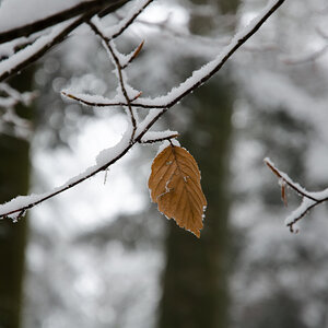 _DSC9041.jpg