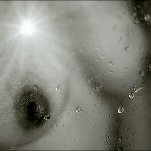 comp_1x1-BW-Lumi.jpg