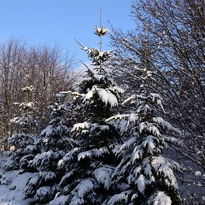 DSC_7665_00001n.jpg