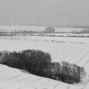 DSC_7708_00001_01n.jpg