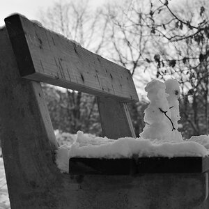 DSC_7719_00001_04n.jpg