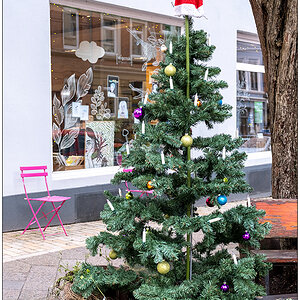 008 Kieler Jungfernstieg mit Weihnachtsbaum vorm Veganski