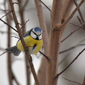 NF_DSC_5746.jpg