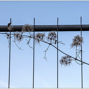 010 Blick zum Himmel