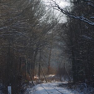 DSC_7830_00001n.jpg