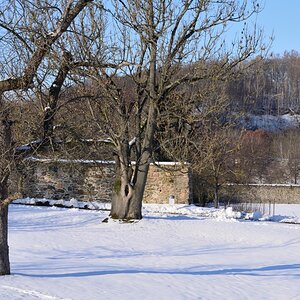 DSC_7840_00001n1.jpg