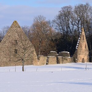 DSC_7871_00001n.jpg