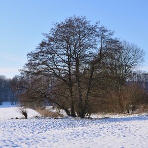 DSC_7877_00001n.jpg