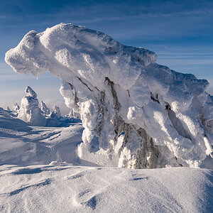 2021-01-16_Hornisgrinde_13.jpg