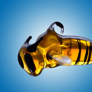 biene_glas_1200.jpg