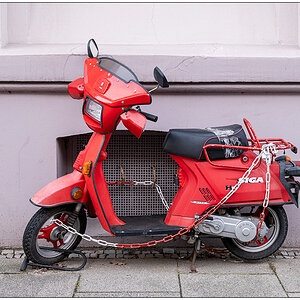 014 Rote Liebe