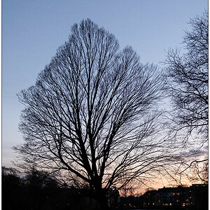 016 Winter im Kieler Schrevenpark