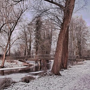 Winter im Park -.jpg
