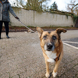 D Lütze (14).jpg