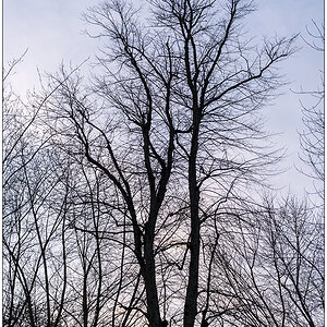 028 Am Schrevenpark