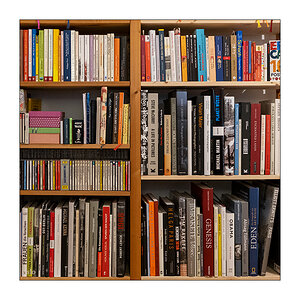 034 Bücherregal mit Fotobildbänden und Mozart-CDs