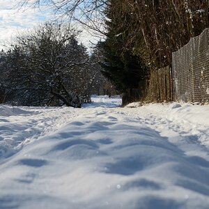 DSC_7904_00001n.jpg