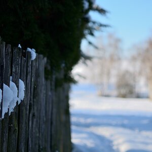 DSC_7931_00001n.jpg
