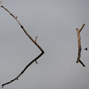 Z6H_0007.jpg