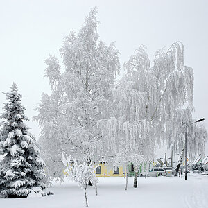 OF-DSC_1221.jpg