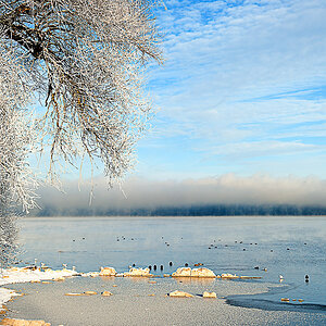 Inzell 2
