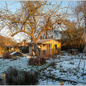 035 Schrebergarten im Winter