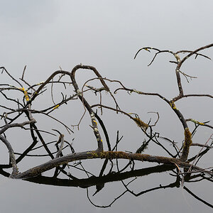Z6H_0008.jpg