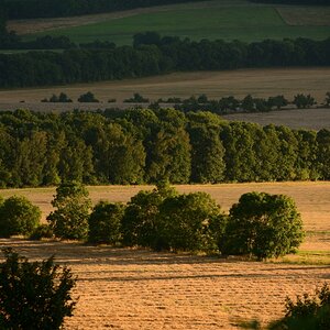 DSC_0031_00001n1.jpg