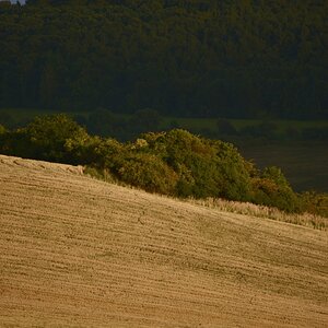 DSC_0034_00001n.jpg