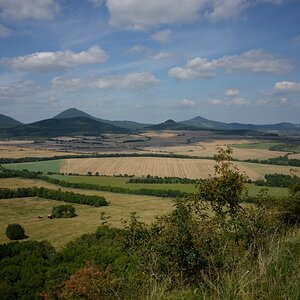 DSC_0781n.JPG
