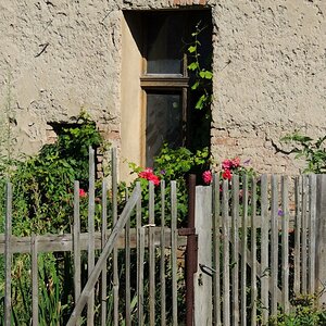 DSCN3945n1.JPG
