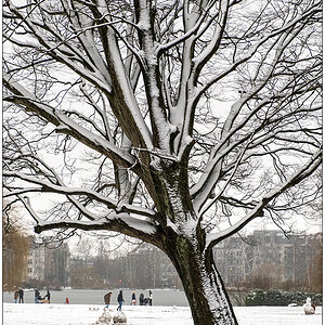 039 Im Kieler Schrevenpark 1