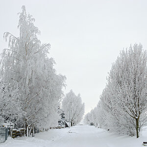 OF-DSC_1245.jpg