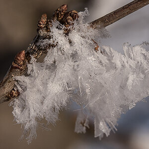 Eiskristalle Farbe 2 (1 von 1).JPG