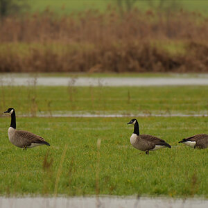 NF_DSC_6012.jpg