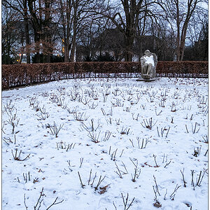 048 Winter im Kieler Schrevenpark