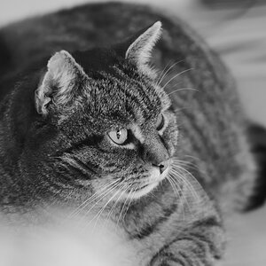 DSC_1403_00001_02n.jpg