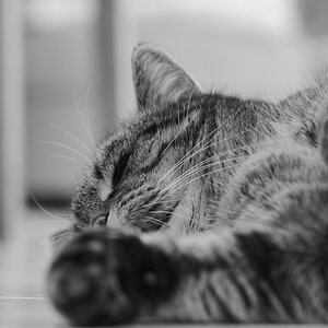DSC_1413_00001n.jpg