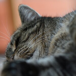 DSC_1417_00001_01n.jpg