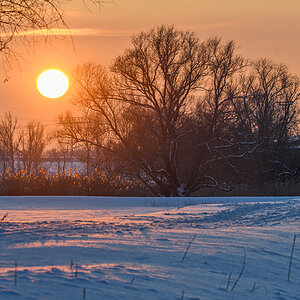 OF5_08119.jpg